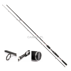 Spinning PALOMINO 240cm 10-40g